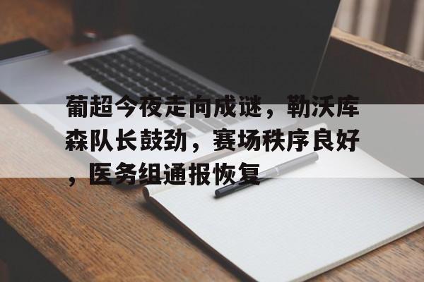 九游网页客户端-葡超今夜走向成谜，勒沃库森队长鼓劲，赛场秩序良好，医务组通报恢复的简单介绍